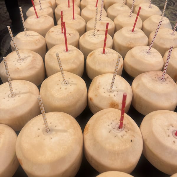 Many whole young coconuts with colorful straws are arranged closely together on a dark surface.
